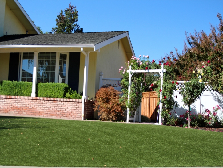 Synthetic Lawn Biggs, California Lawn And Garden, Front Yard Landscaping