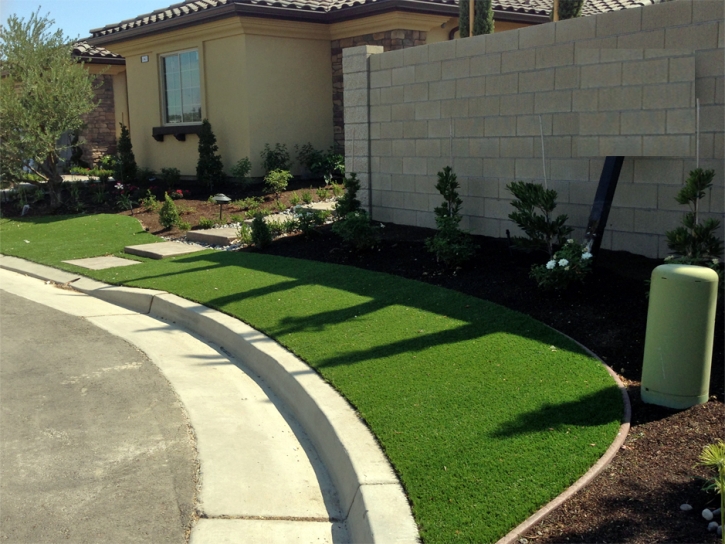 Synthetic Lawn Corning, California Landscaping, Front Yard Landscape Ideas