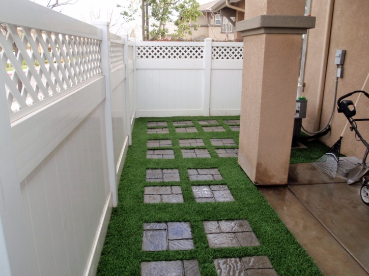 Synthetic Lawn Elk Grove, California Backyard Deck Ideas, Backyards