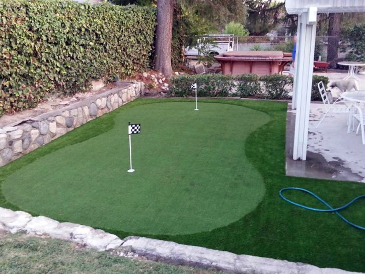 Synthetic Lawn Kings Beach, California Artificial Putting Greens, Backyard Designs