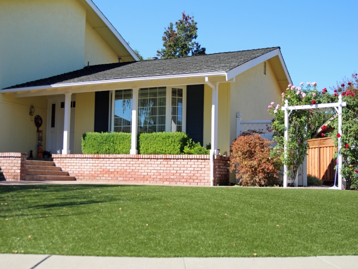 Synthetic Lawn Las Lomas, California Landscape Design, Front Yard