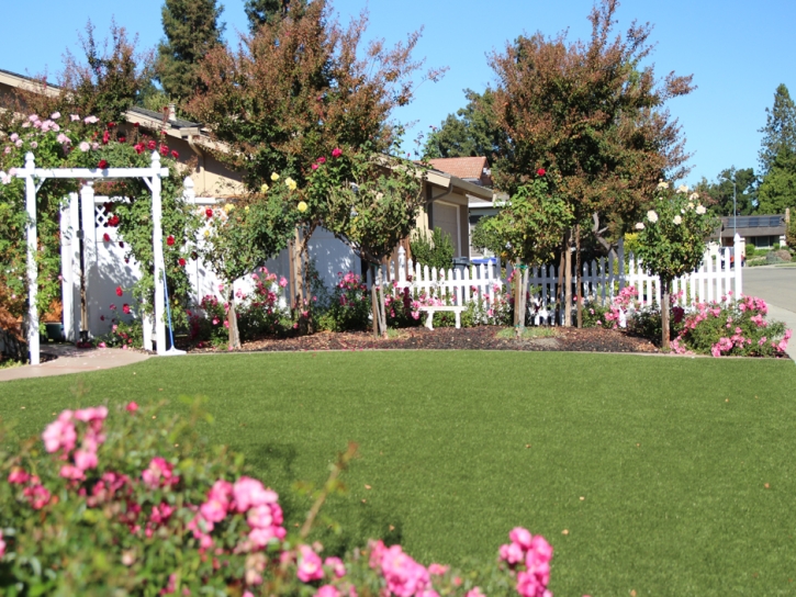 Synthetic Lawn North Richmond, California Roof Top, Small Front Yard Landscaping