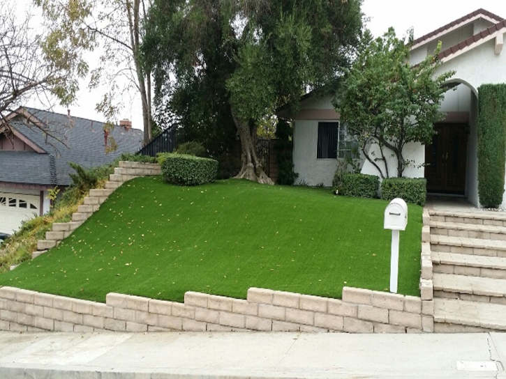 Synthetic Lawn Redwood Valley, California Gardeners, Front Yard Landscaping Ideas