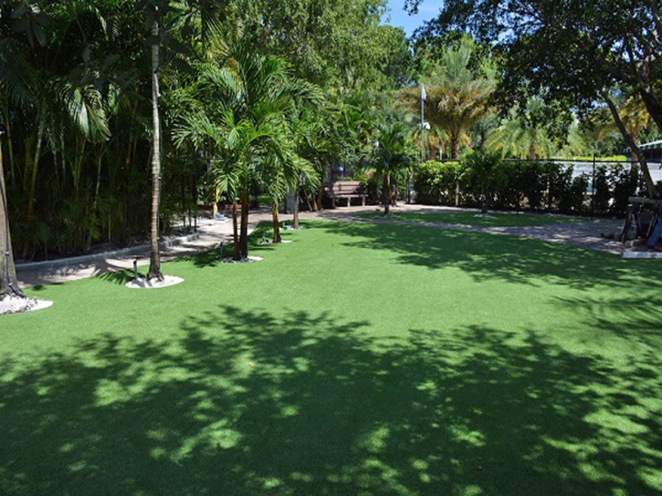 Synthetic Lawn Rio Vista, California Rooftop, Commercial Landscape