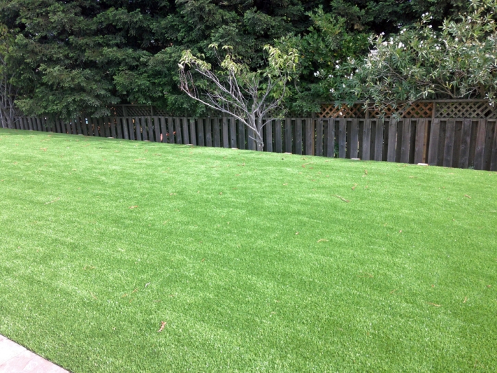 Synthetic Lawn Riverdale, California Landscaping Business, Backyard Garden Ideas