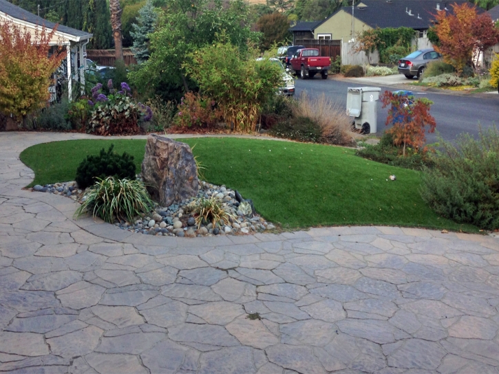 Synthetic Lawn Rodeo, California Landscape Ideas, Small Front Yard Landscaping