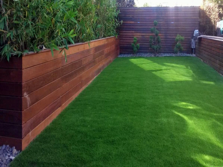 Synthetic Lawn Sacramento, California Gardeners, Backyards