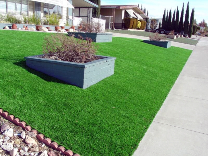 Synthetic Lawn San Martin, California Landscape Ideas, Front Yard Design