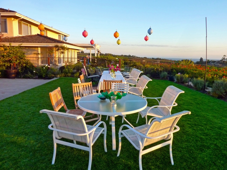 Synthetic Lawn Sleepy Hollow, California Roof Top, Small Backyard Ideas