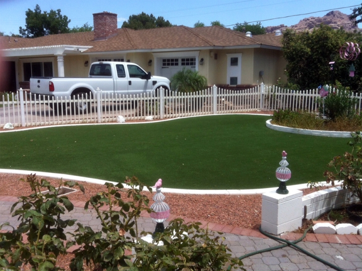 Synthetic Lawn Vacaville, California Garden Ideas, Front Yard Ideas