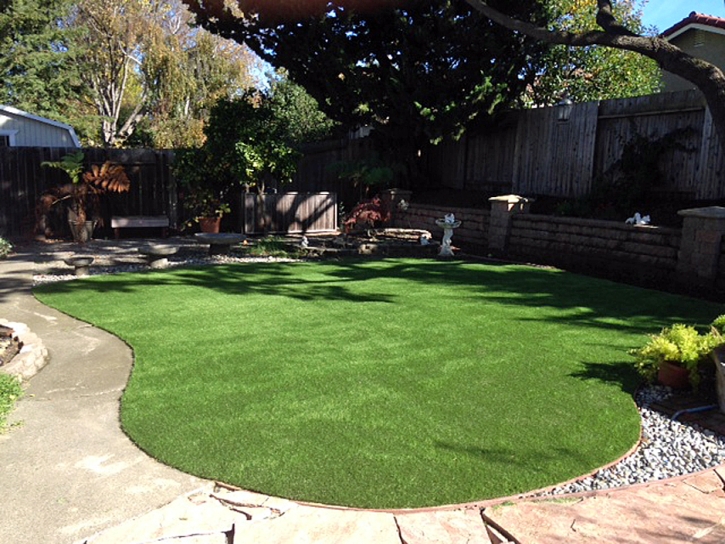 Synthetic Turf Dogtown, California Backyard Playground, Backyard Ideas