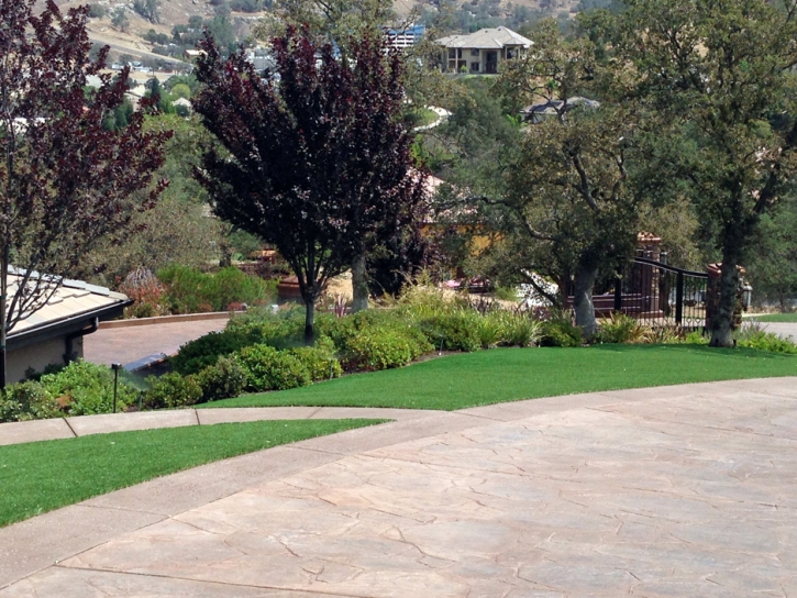 Synthetic Turf Fresno, California Landscape Ideas, Front Yard Landscaping Ideas