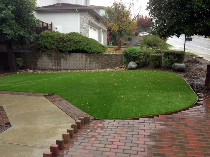 Synthetic Turf Oakland, California Landscape Rock, Small Backyard Ideas