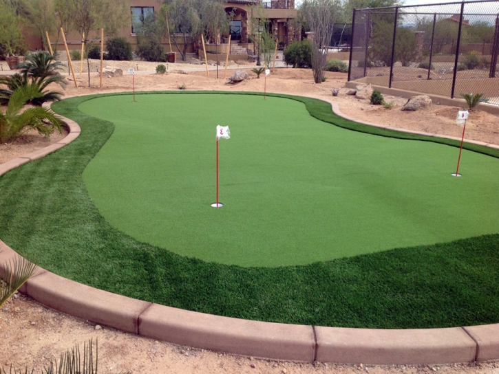 Synthetic Turf Plumas Lake, California Backyard Putting Green, Backyard Designs