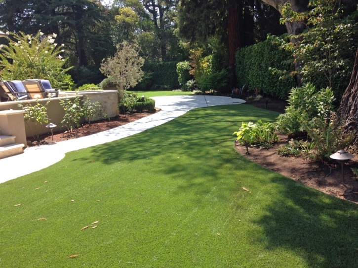 Synthetic Turf Scotts Valley, California Landscaping, Backyard Landscape Ideas