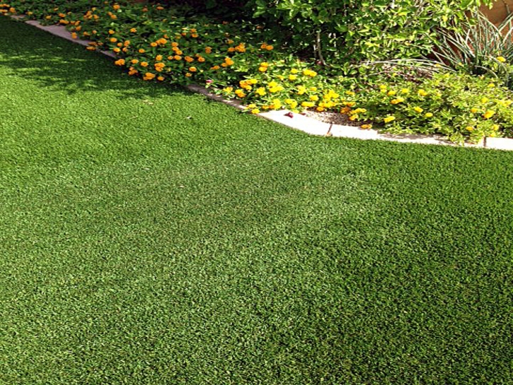 Synthetic Turf Strawberry, California Home And Garden, Front Yard Landscape Ideas