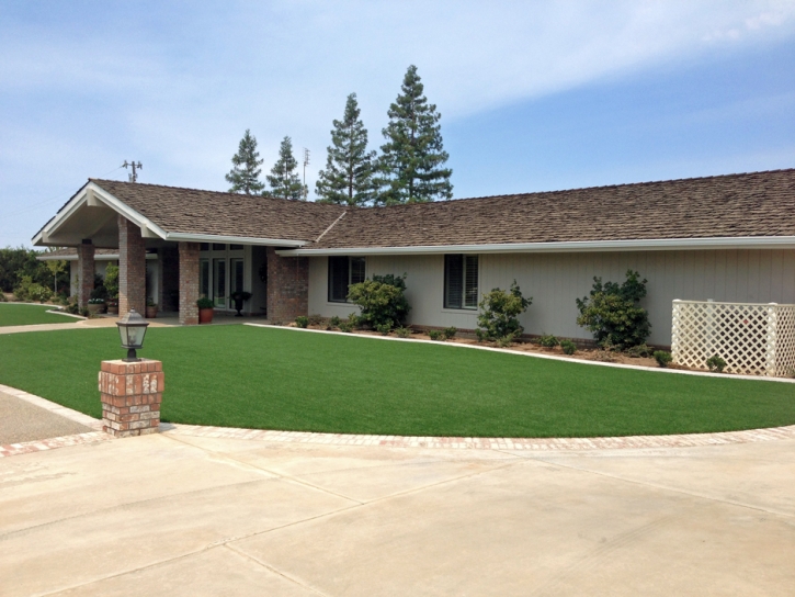 Synthetic Turf Supplier Ben Lomond, California Paver Patio, Small Front Yard Landscaping