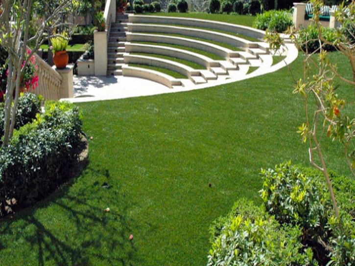 Synthetic Turf Supplier Blackhawk, California Landscape Ideas