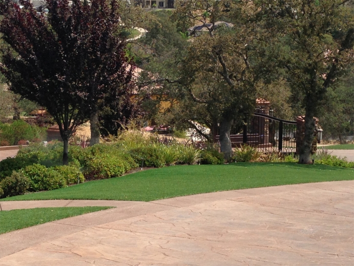 Synthetic Turf Supplier Empire, California Rooftop, Backyard Landscaping