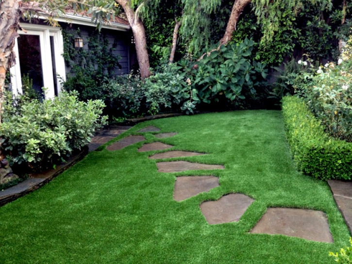 Synthetic Turf Supplier Moss Beach, California Design Ideas, Backyard Designs