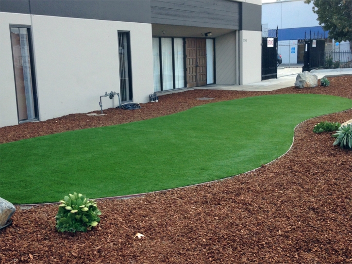 Synthetic Turf Supplier Mountain View, California Backyard Playground, Commercial Landscape