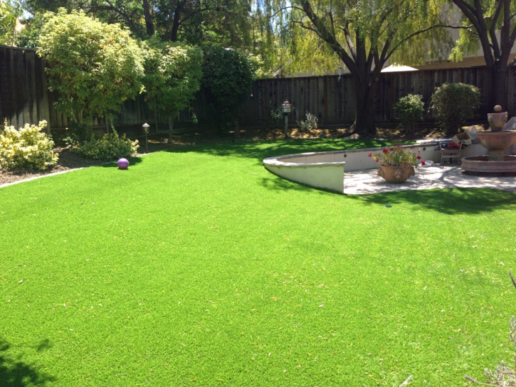 Synthetic Turf Woodside, California Landscaping, Beautiful Backyards