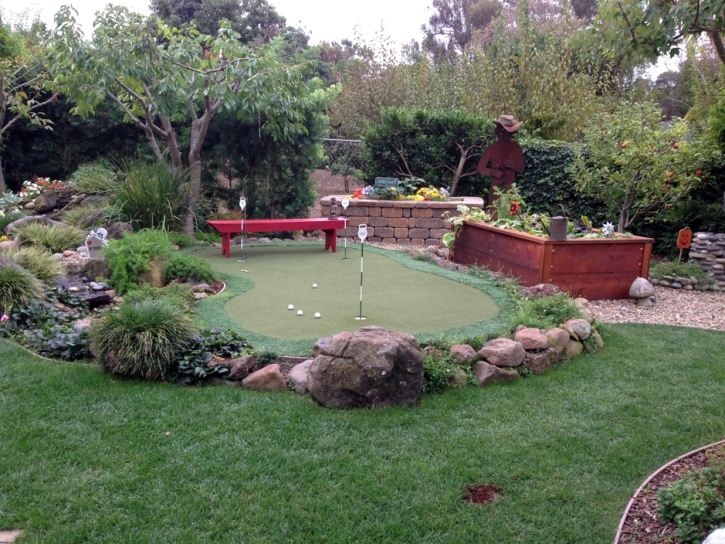 Turf Grass Belvedere, California Paver Patio, Backyard Landscaping Ideas