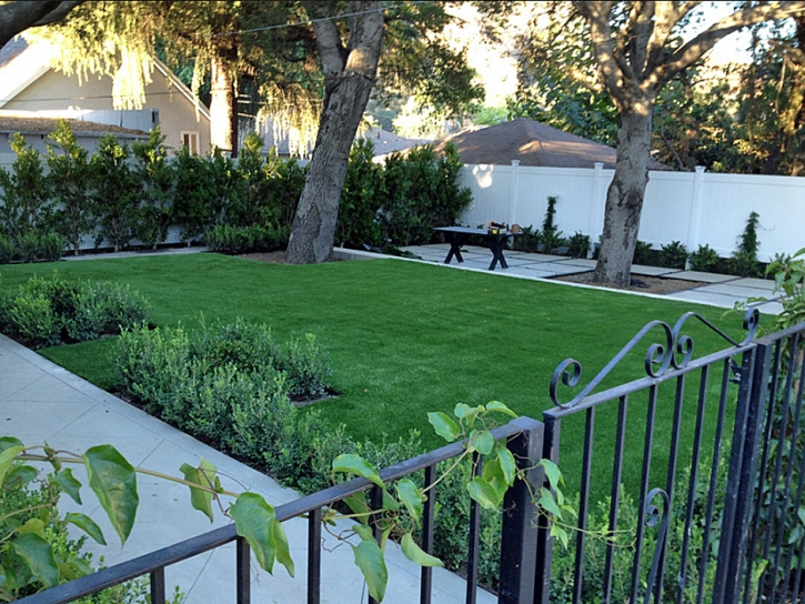 Turf Grass Boulder Creek, California Garden Ideas, Front Yard Landscape Ideas