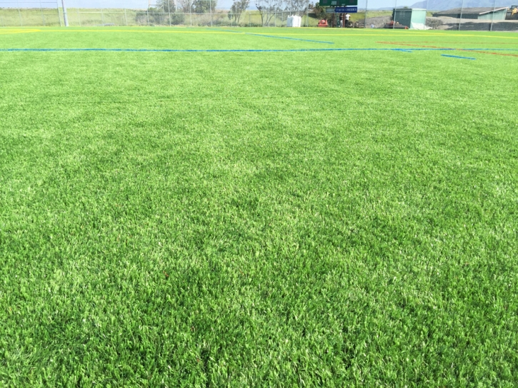 Turf Grass Castroville, California Stadium