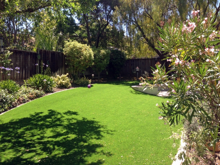 Turf Grass Half Moon Bay, California Lawn And Landscape, Small Backyard Ideas