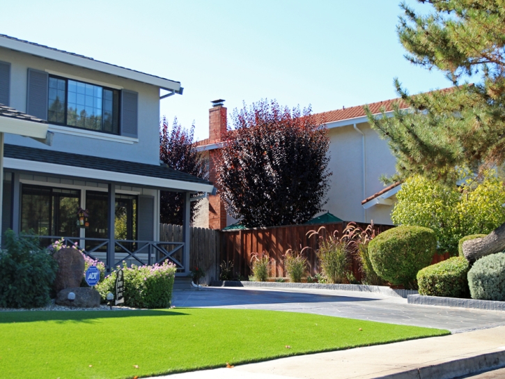 Turf Grass Livermore, California Design Ideas, Front Yard Design