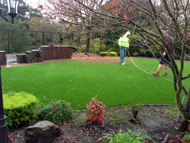 Turf Grass Piedmont, California Rooftop, Backyard Landscape Ideas